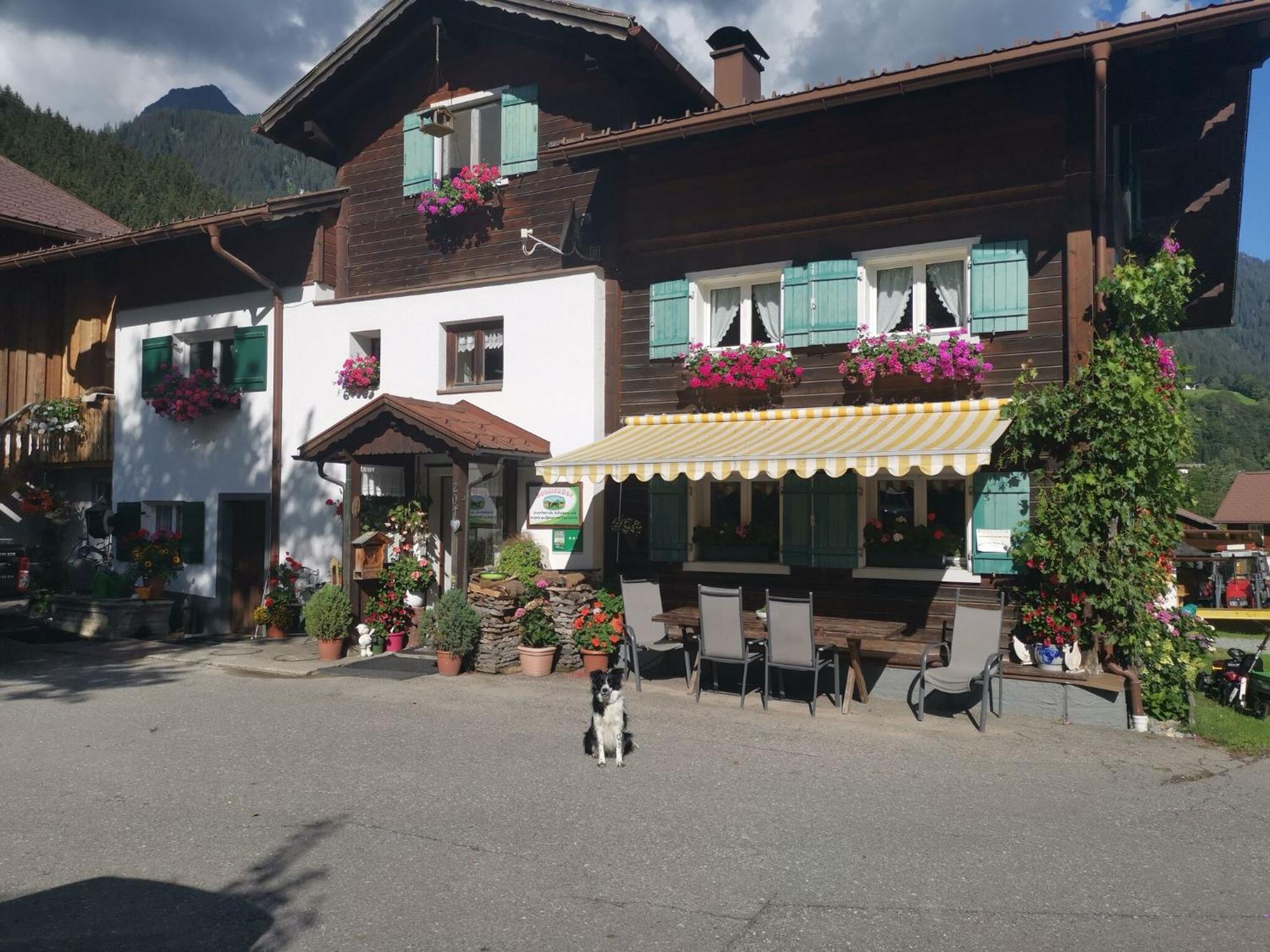 Comfortable Holiday Home With Garden In Voralberg Sankt Gallenkirch Kültér fotó